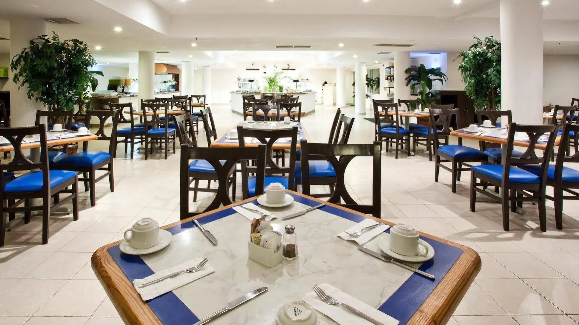 Ocean View Cancun Arenas